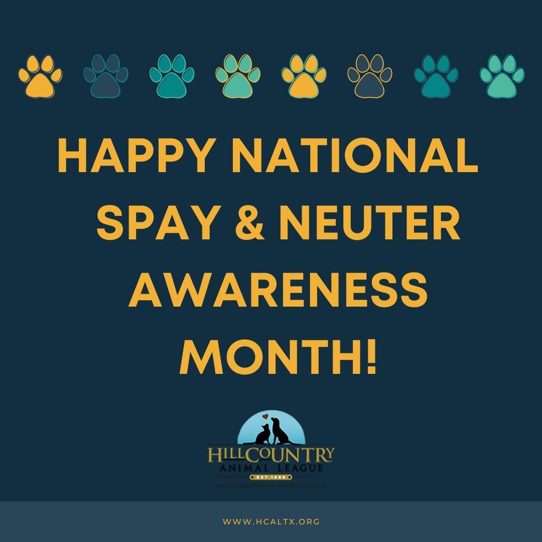 Happy Spay & Neuter Awareness Month! Hill Country Animal League