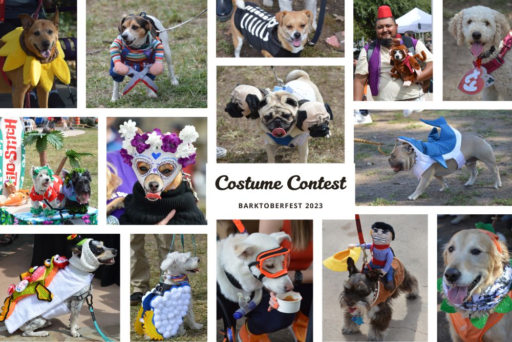 Barktoberfest 2023, Pet Costume Contest
